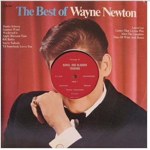 shapyto's profile picture. bedroom dj, nihilist