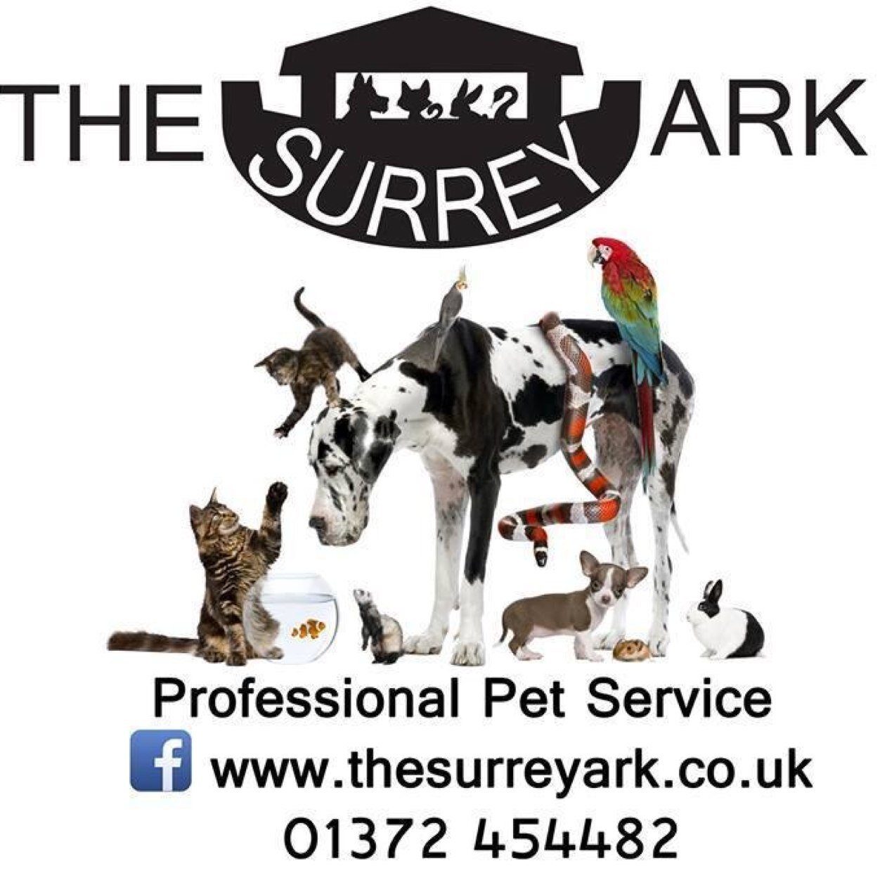 Professional, loving & qualified, small local family run business, Dog Behaviourist, Pet Carers #Dog Walkers #House Sitters #Claygate, #Effingham #thesurreyark