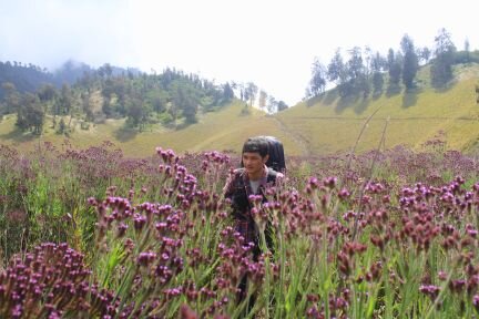 Andry_Anfield's profile picture. You'll Never Walk Alone