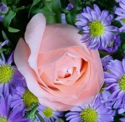 دَعِ الأَيَّـامَ تَفْعَـلُ مَا تَشَـاءُ=وَطِبْ نَفْساً إِذَا حَكَمَ القَضَـاءُ..وَلا تَـجْزَعْ لِحَـادِثَةِ اللَّيَالِـي=فَمَا لِحَـوَادِثِ الدُّنْيَـا بَقَـاءُ