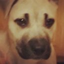 Kellie Hill - @KellieReneeMike - Twitter