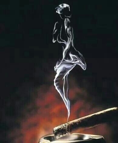 studynet119's profile picture. 국회의원보다 더 얍삽한 공무원들.
특히 흰머리 공무원OOO.