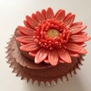 Lynne Comer - @butterlynne - Twitter