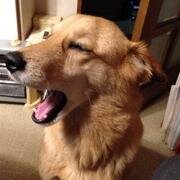 日本橋で働いています。 身の回りのよしなしごとをつぶやいています。