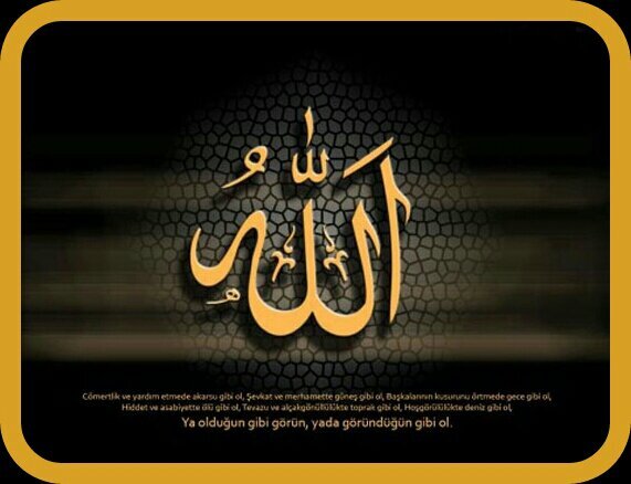 ‏((( أن يغضب عليك مخلوق أفضل من أن يغضب عليك الخالق )))‏
عفوا لا ابادل ...الخاص لا يعنيني ⇦غــ♡ــزة ⇨