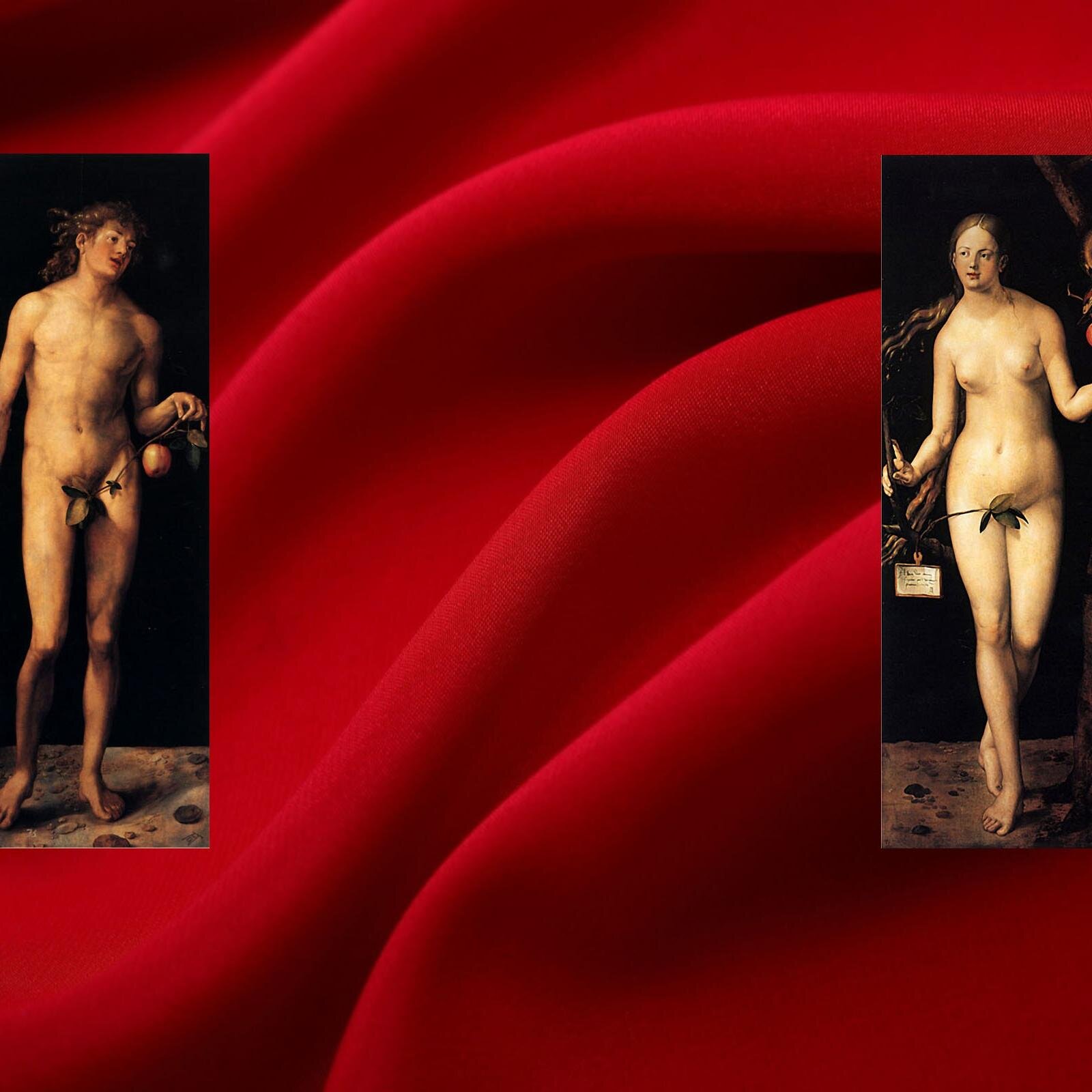 samvar2's profile picture. 