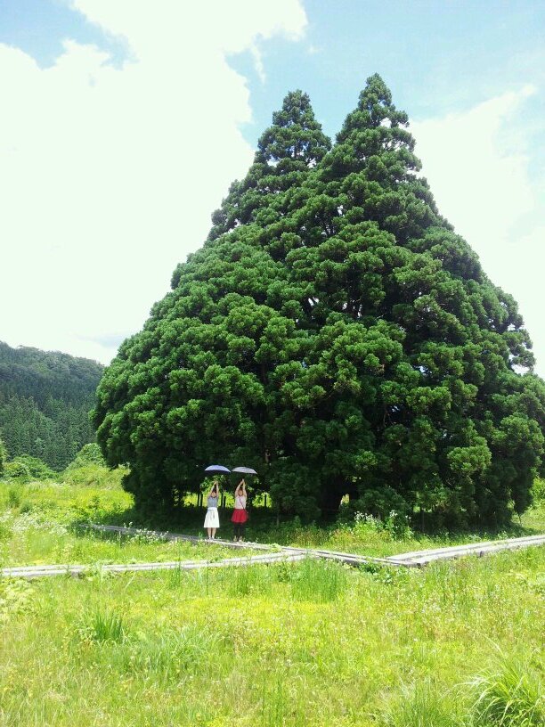 ゆるーく生きています。
