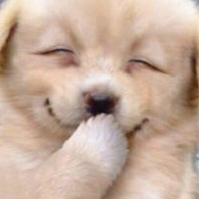 面白いつぶやき 激笑 Bot Omoshiro Bot のツイプロ 面白いつぶやき 激笑 Bot Omoshiro Bot のツイプロ