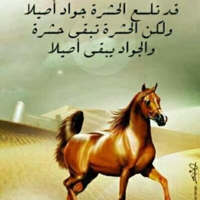 ما هيَ ﻣ̉ﻥ̴ ﺂطِباعيَ ﺂرڊ ﭑﻟ̨عيبَ بَ ﭑﻟ̨عيبّ. رﯙحيَ ﺟ͠ميلھٓ ﯙﺂڳسبَ ﭑﻟ̨نآسَ.... بطيب