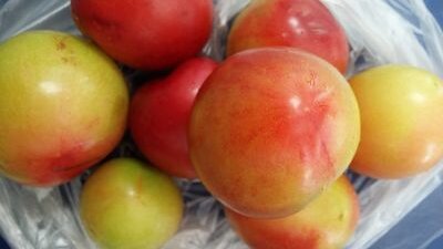 cdefghk66's profile picture. 