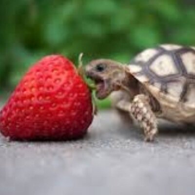 jessicaflynn05's profile picture. Jessica here so Live life and love youtubers, minecraft, music and randomness so yeah