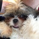 Graham - @graham98riley - Twitter