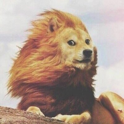 Jenek_Novikof's profile picture. who are you?