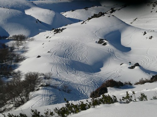 family/friends/snow/surf/skate