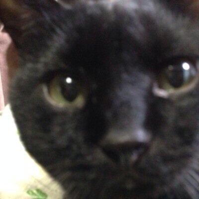 mnmtk70's profile picture. 好きなことたくさんっ🤤❤️