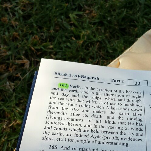 EcoQuraan's profile picture. #AQuraanJourney| Green-ish verses | environment | ordinary Muslim - no Islamic qualifications