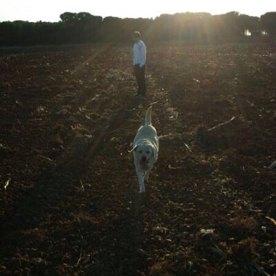 no tengas miedo de ir despacio, todo gran logro comienza con un paso