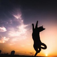 pOn (@love_thelonious) 's Twitter Profile