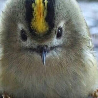 ととまろさんのプロフィール画像
