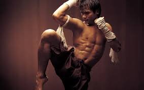 Muay Thai entrenamiento y videos
