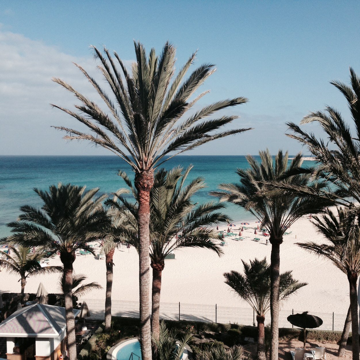 robertgleach's profile picture. Swindon Town, Chocolate, Jack D, Sunshine, Susan, Two lovely daughters,Grand Children, Lawns, Audi...this is not in any order