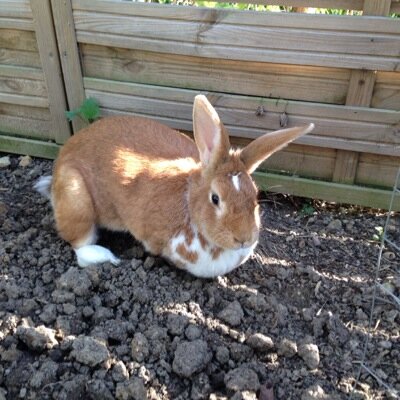 GoYouve's profile picture. 