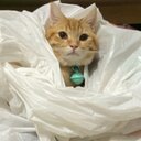 madeline - @MadelineWu - Twitter