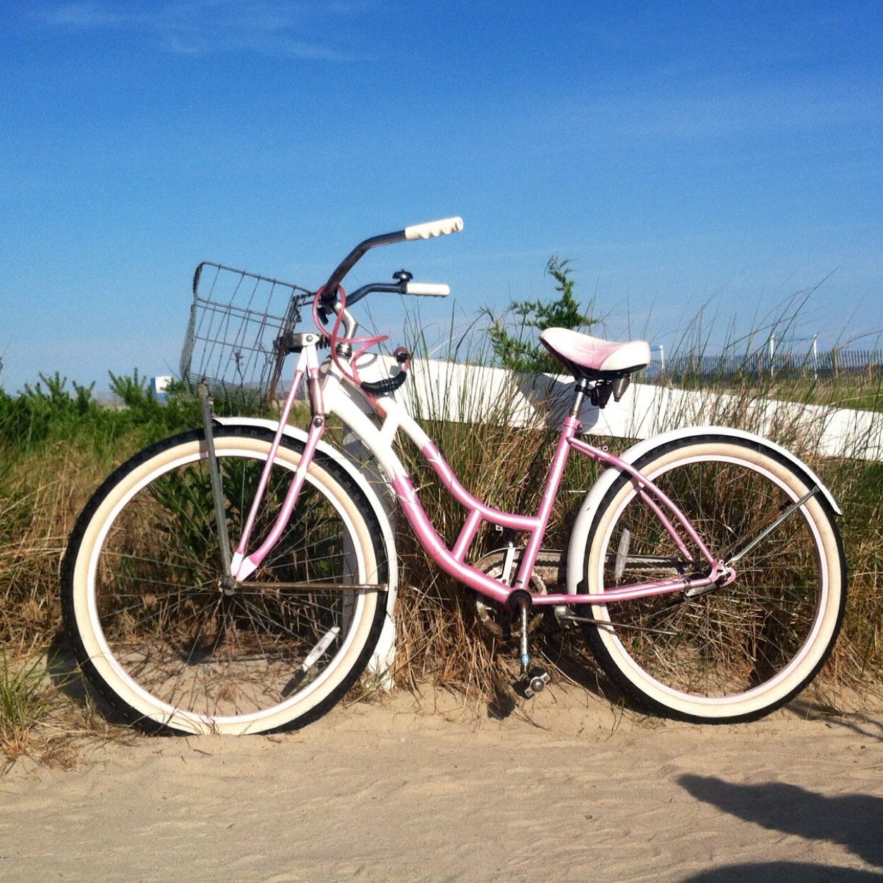 5goggles's profile picture. Wife to Chris, mother to eight... though three of them have four, furry feet. To God be the glory!