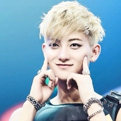 wolf___tao's profile picture. 