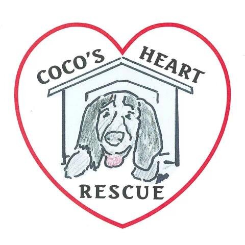 Cocos Heart Dog Rescue (CHDR) is a nonprofit no-kill dog rescue in MN. Our goal is to give dogs a second chance at a beautiful life.