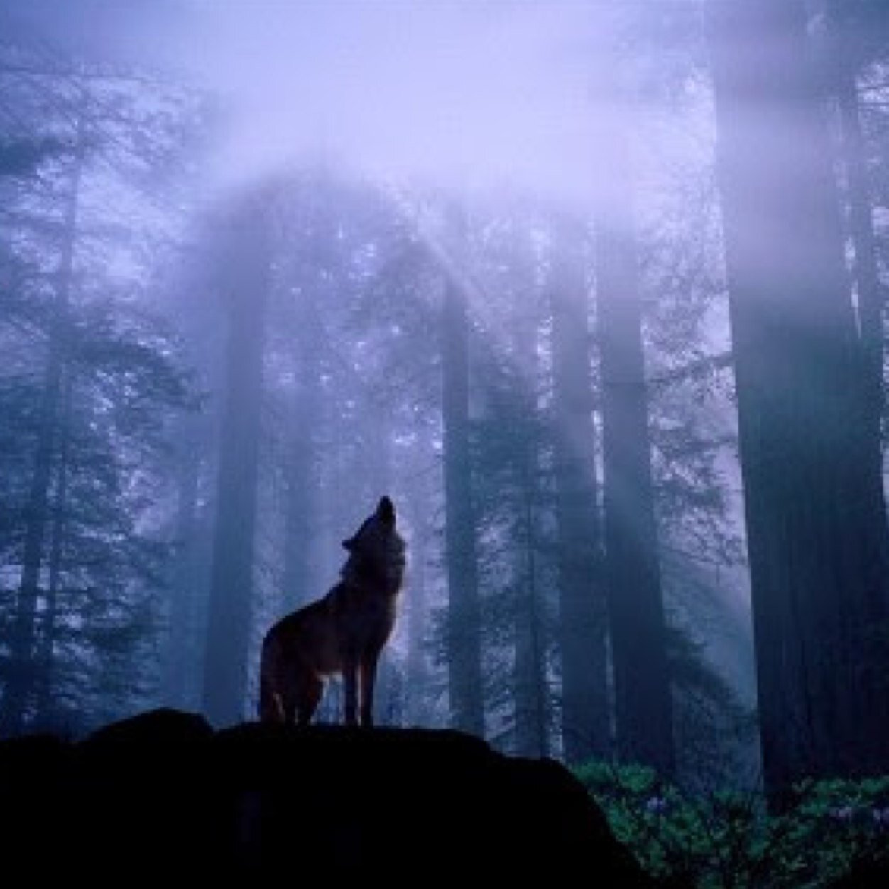 The world is populated with now supernatural beings, how do you deal with your new-found supernatural powers? DM/@ to join. Find roles in photos.