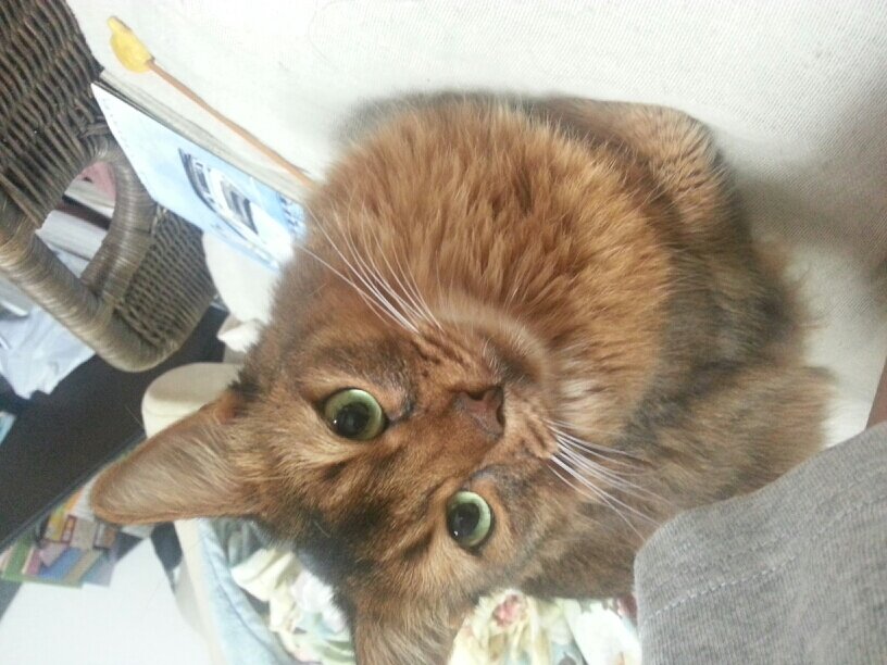 agito2103's profile picture. 