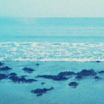 _Top_Saiten's profile picture. フォロー、RTでアイコン採点、評価いたします。