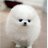 dani_mortal88's profile image