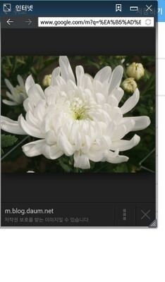 xhrltkfid's profile picture. 