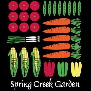 Spring Creek aims to provide a consistent supply of a variety of fresh veggies. We attend market Tue-Sun in YXE & Wed & Sat in YQR. Now offering a weekly CSA!