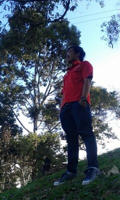 ello 🟠 NFTARMY LINGO CLONE ADL