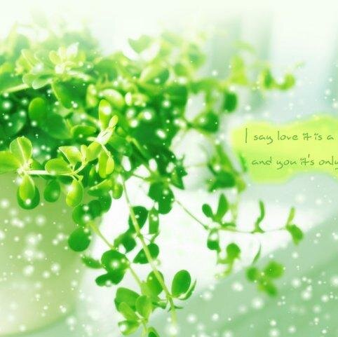 phamhuongtb's profile picture. 