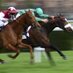 Betting Tips (@ibetwinners) Twitter profile photo Betting Tips (@ibetwinners) Twitter profile photo