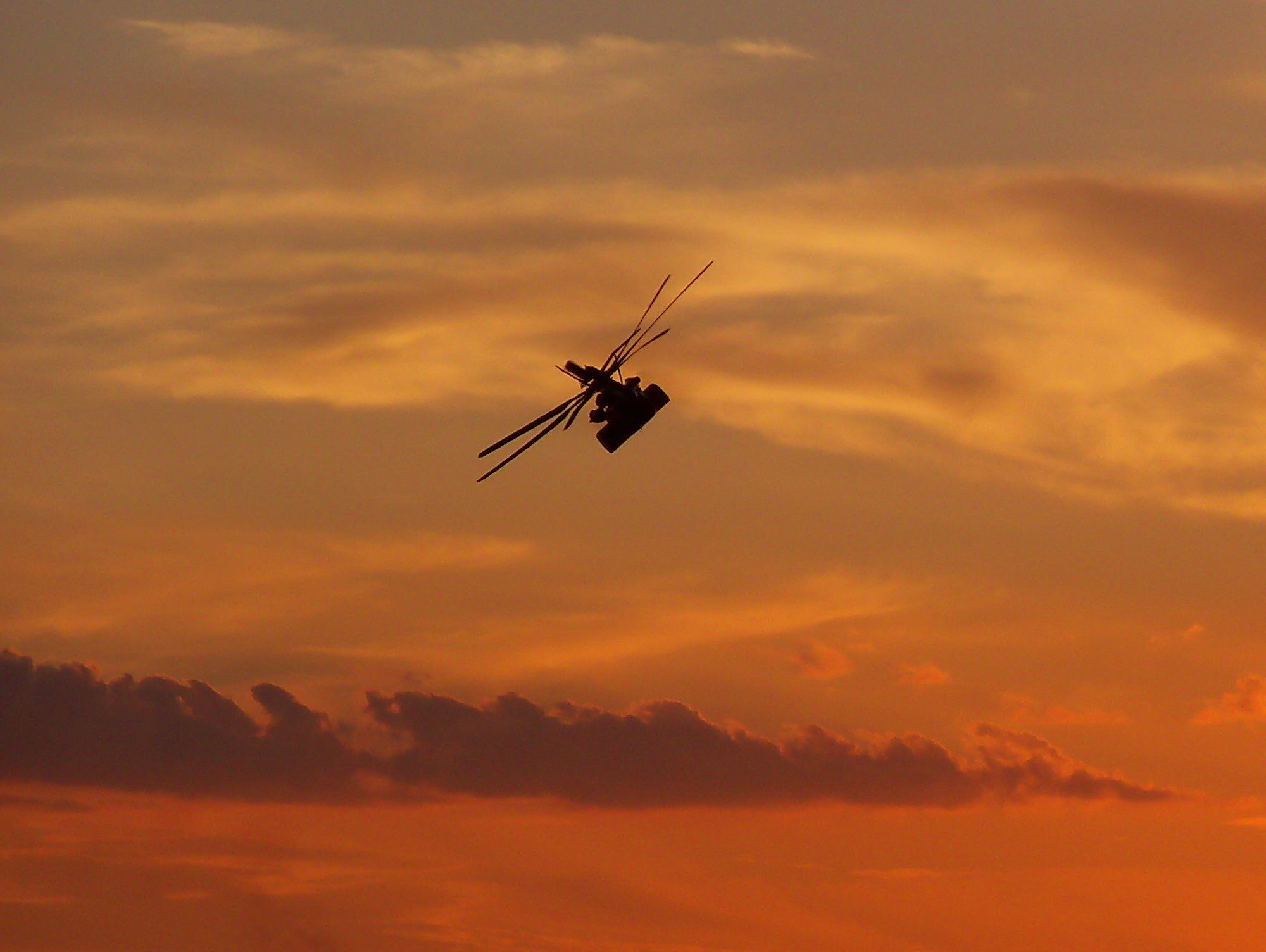 Art and antique dealer and also nature and sunset photography enjoy riding harley