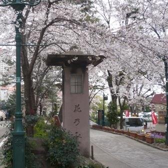 kuniyan_197x's profile picture. 25年ほど宝塚ファンをしていました。今はちょっと離れています。 OGは舞羽美海さんが永遠の天使。遠野あすかさん、紺野まひるさんも好き。よく聴く音楽は打首獄門同好会とYOASOBI。好きな色はプラウドブルー。職業はシステムエンジニア(.net案件、バックエンド系中心に何でも対応)なので時々IT業界ネタもつぶやきます。