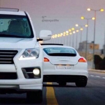 الوفــــاءفـــي هـالزمــن عـــابــر سبيـــل!! والجفـــاءفــي هالزمن راعـــي مــحل!!!