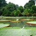Bogor Jepret (@bogorjepret) Twitter profile photo