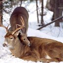 Nancy Beebe - @beebe_nancy - Twitter