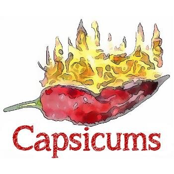 Capsicums_Fr's profile picture. Capsicums Epicerie Fine Saveur Forte
Boutique du piment depuis 2012 🌶️🔥