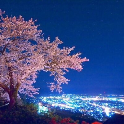 午前中は保育園で働いてます。長男は働き盛りの25歳だけど就活中。早く社会人になってー。お金はないけど楽しそう。次男は管理栄養士の資格を取るべく勉強中の大学3年。グチる事もあるかと思いますがさらっと流して見て下さい。無言フォローは許してね(´∀｀)ゝ