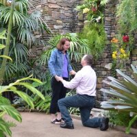 Susan Cobb McNally (@scmcnally) 's Twitter Profile