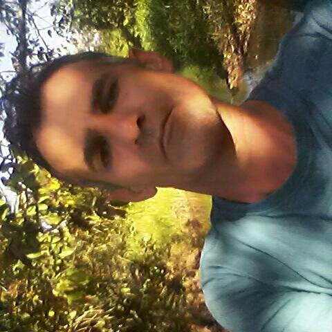 lar doce lar