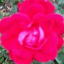 Shay Edwards - @shaymoonsun - Twitter