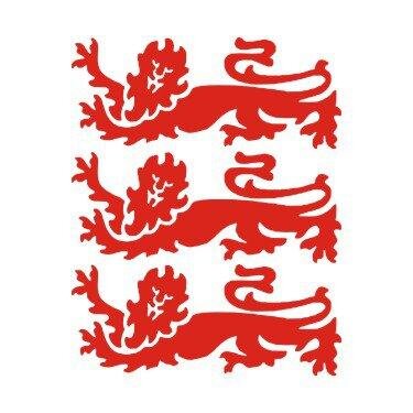 Faversham Town YFC Profile